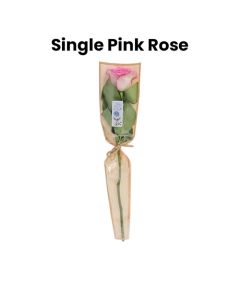 A Single Pink Rose